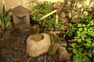 夜の日本庭園